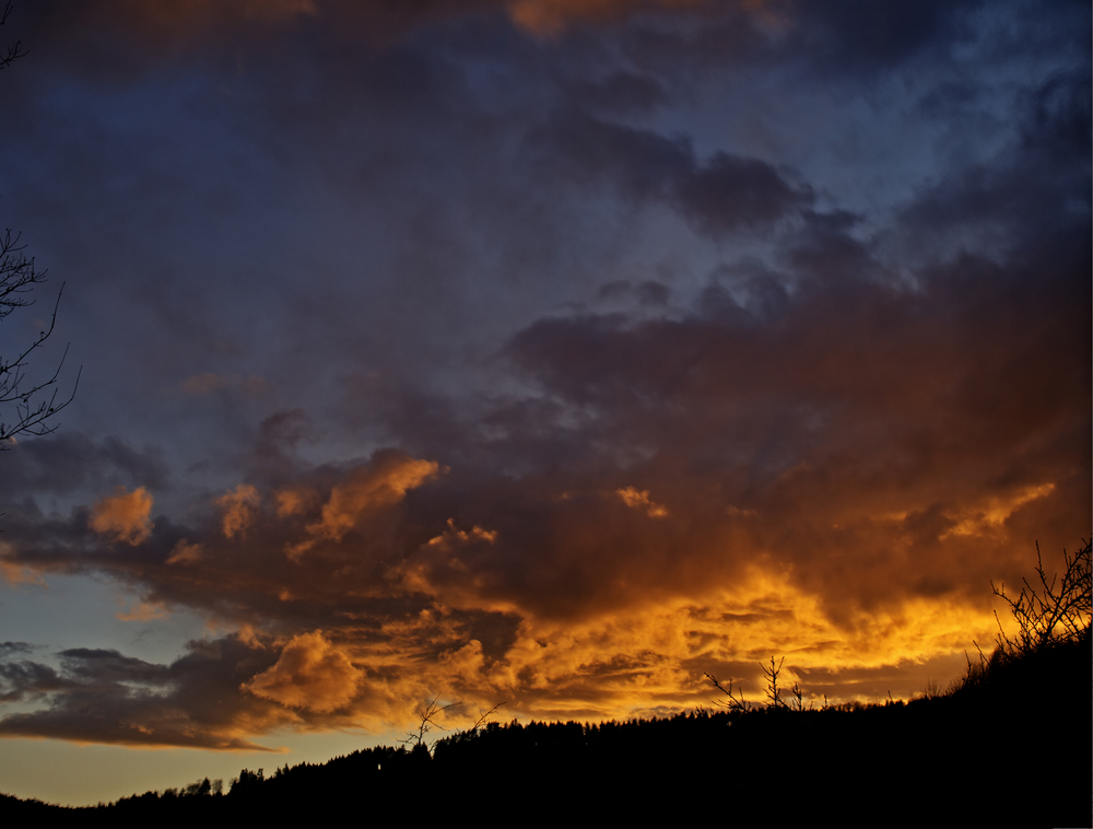 au crépuscule - Abenddämmerung