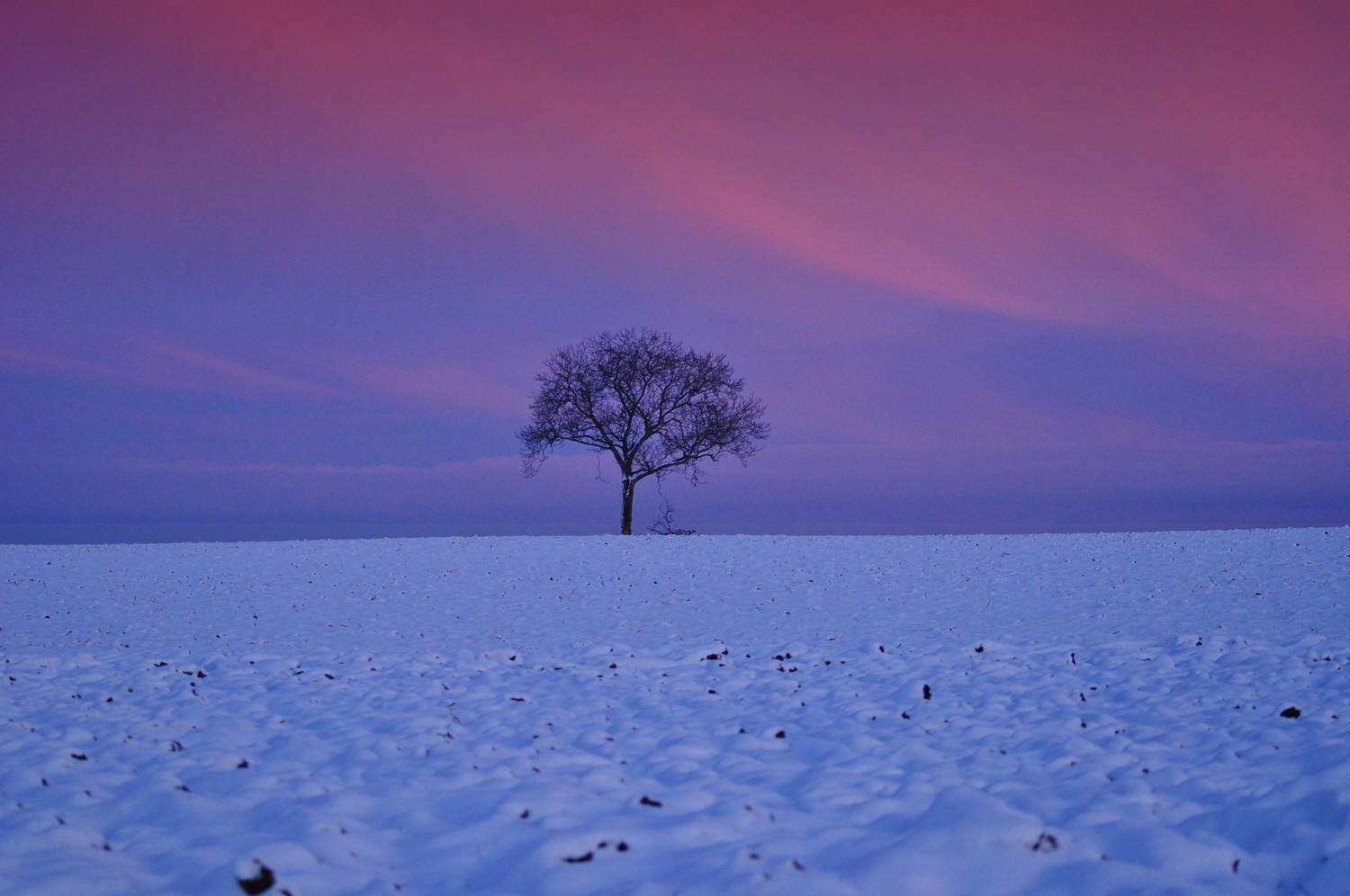 Au crépuscule dans la neige