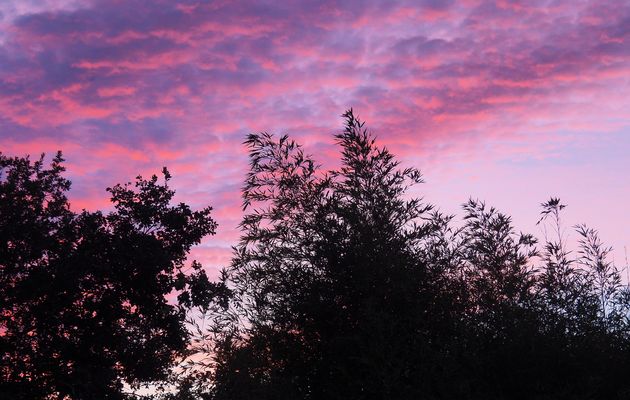 Au crépuscule devant chez moi