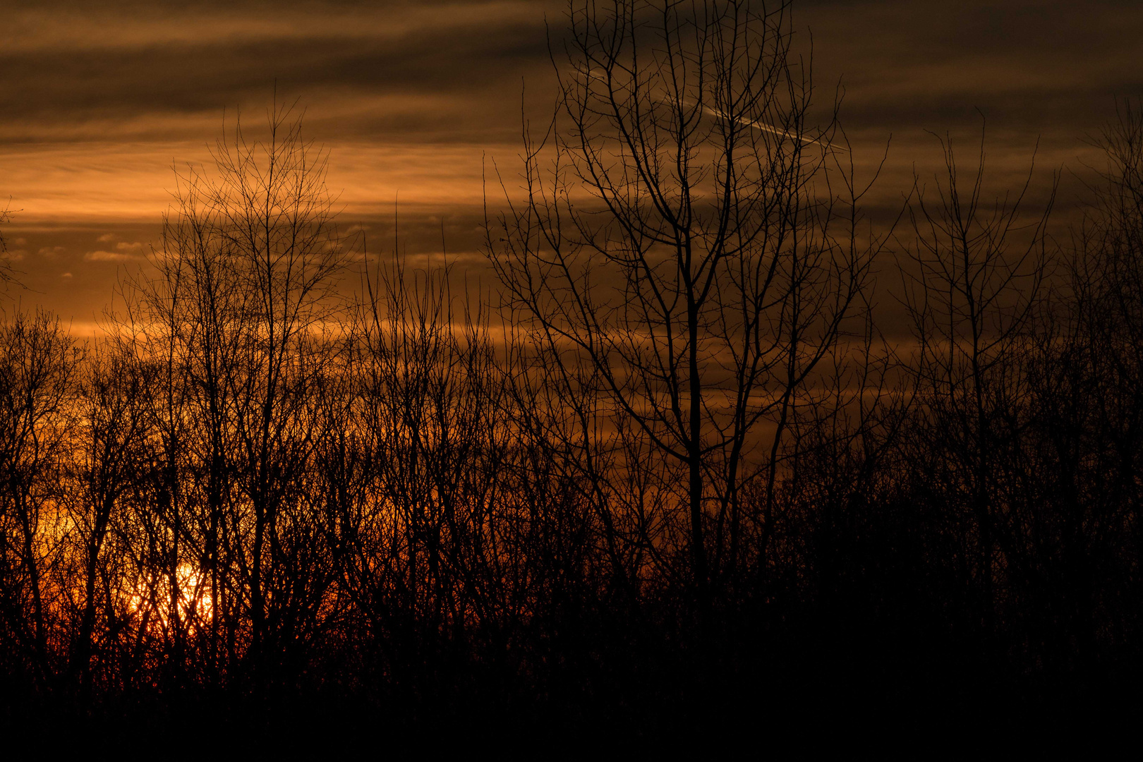 Au crépuscule