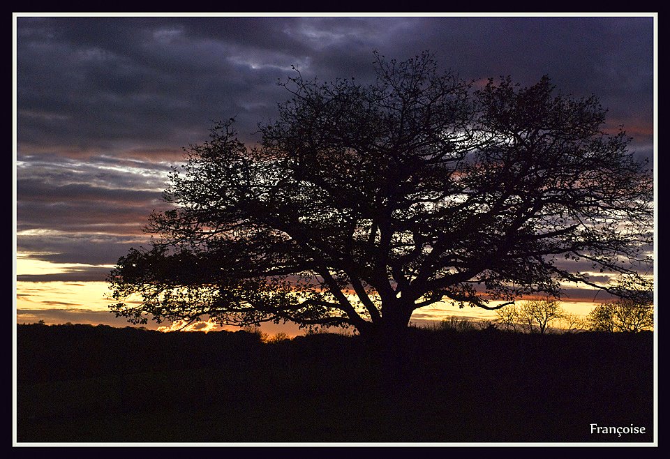 Au crépuscule version Domcho