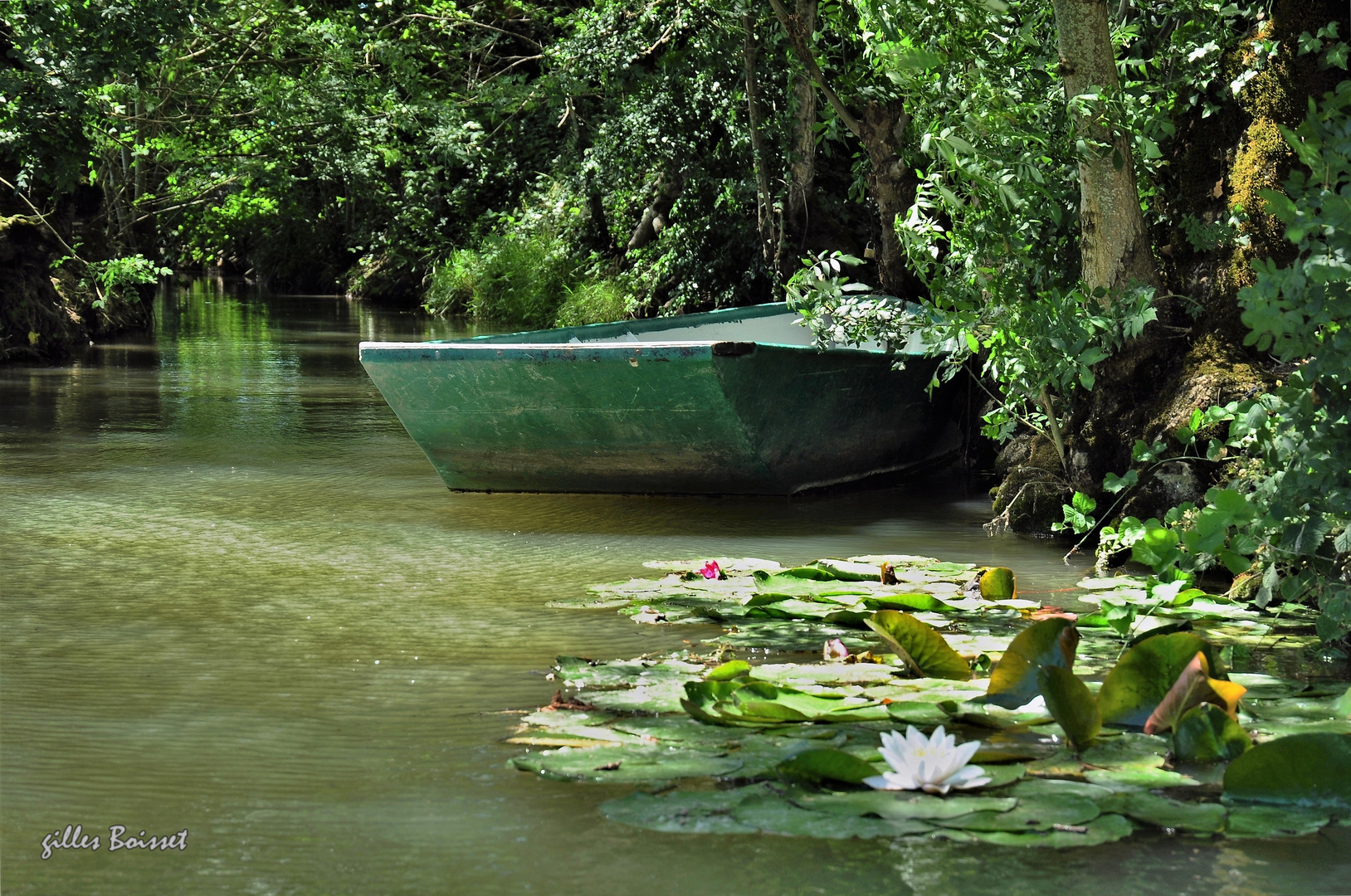 au cœur du marais poitevin