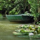 au cœur du marais poitevin