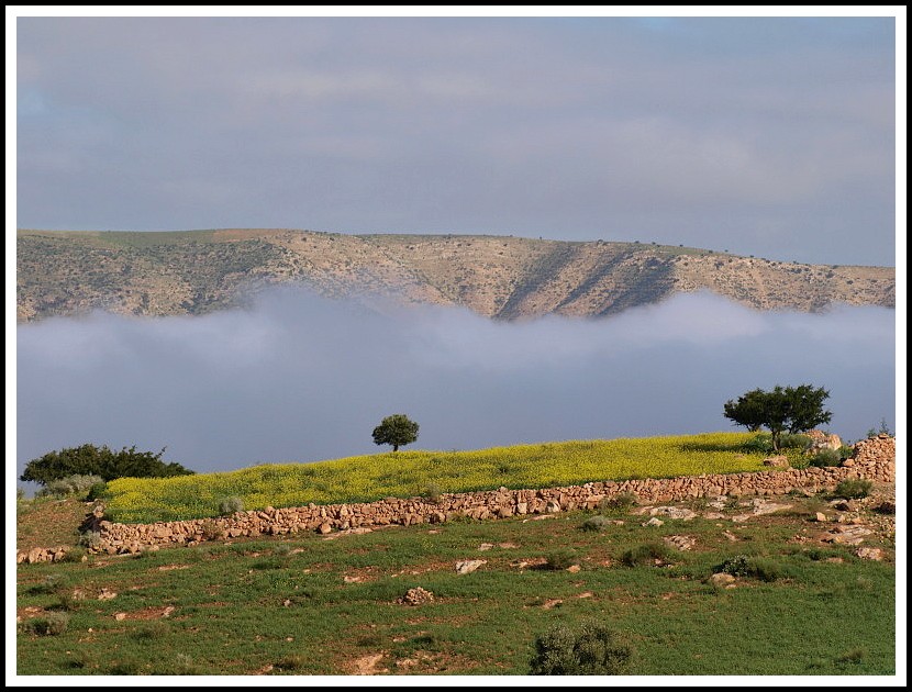 au delà de la colline