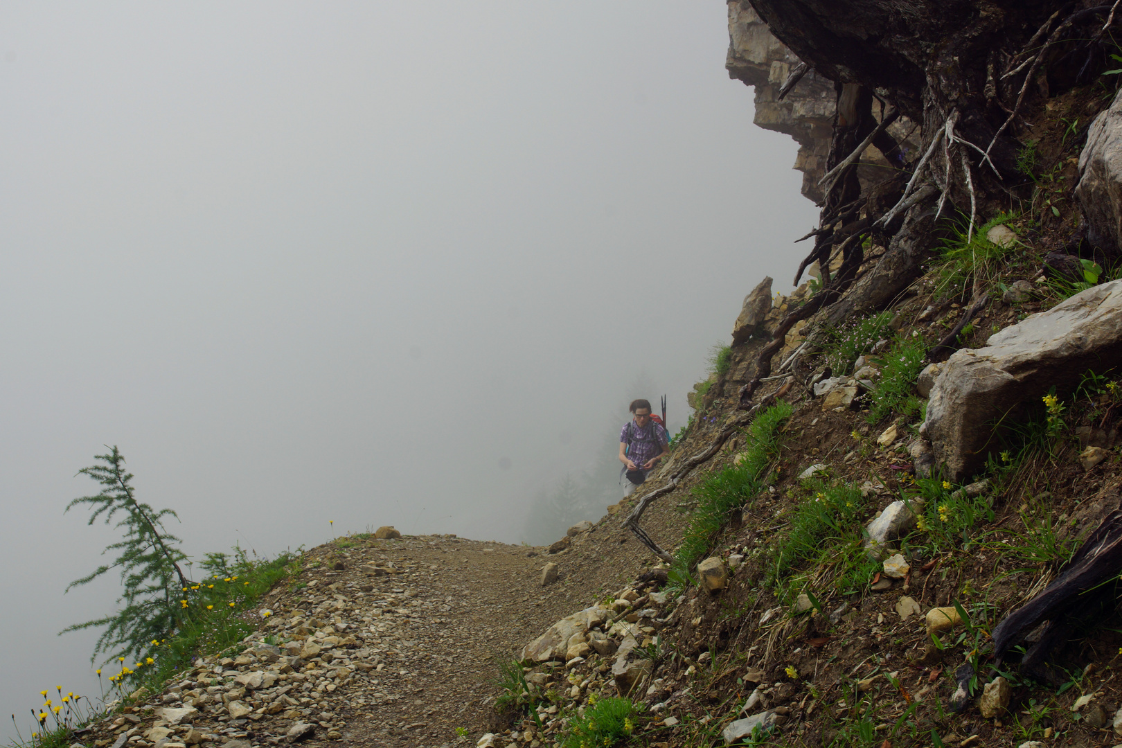 Au dem Weg zur Anderter Alm..... Südtirol