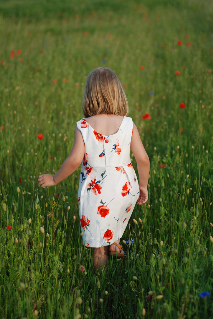 au der Suche nach den Mohnblumen