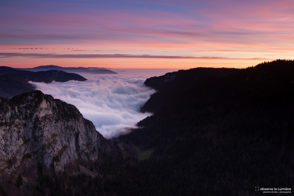 Au dessus de l'Aube brumeuse