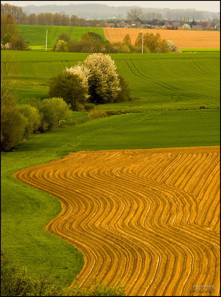 au-dessus des champs