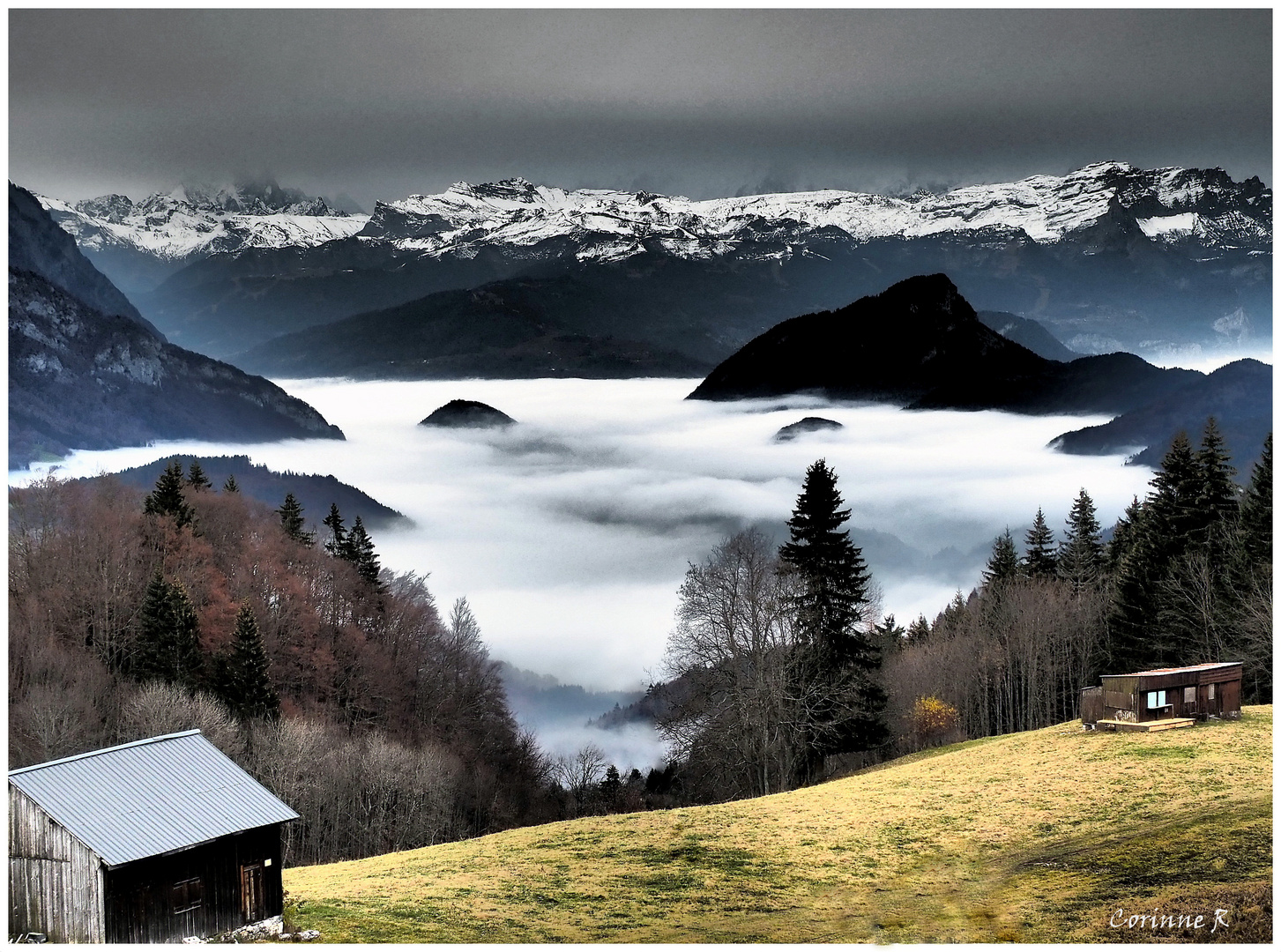 Au Dessus Du Brouillard Photo Et Image Paysages Paysages De Montagne Les Alpes Images Fotocommunity Au Dessus Du Brouillard Photo Et Image Paysages Paysages De Montagne Les Alpes Images Fotocommunity