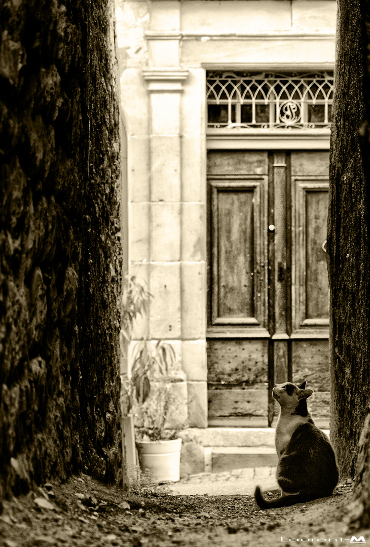 " Au détour d une ruelle à Cordes sur ciel...."