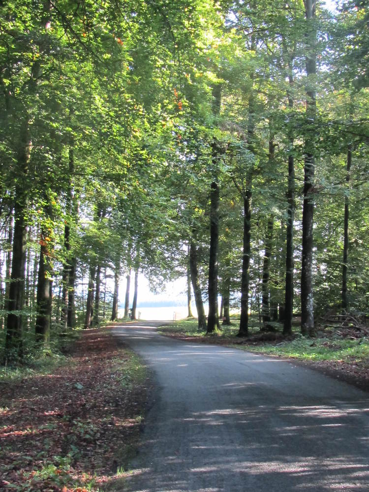 Au détour du chemin