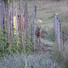 au détour du jardin