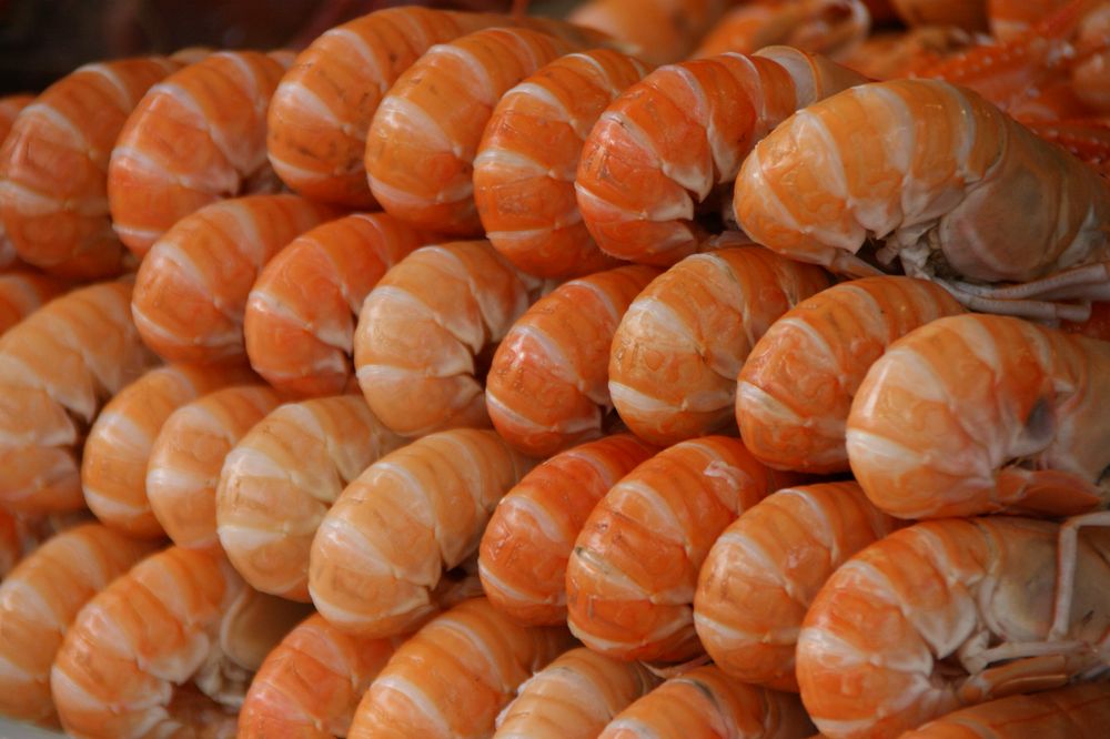 Au détour d'un marché en Bretagne