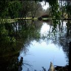 Au détour d'une ballade en Corrèze ...