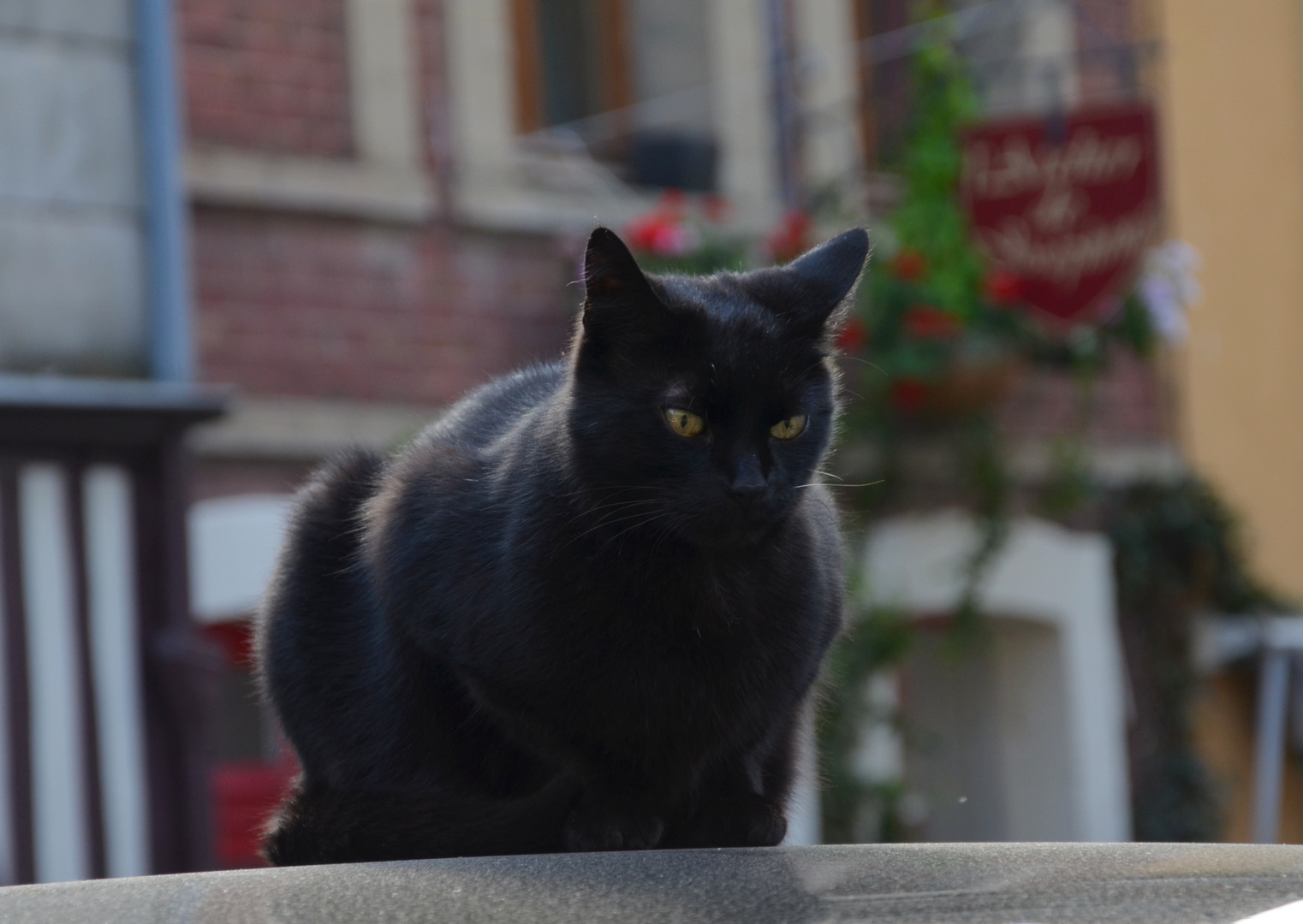 Au détour d'une rue