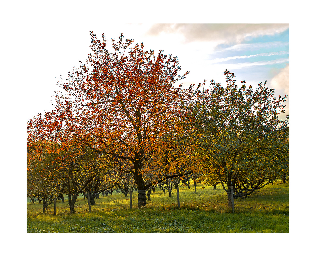 Au domaine d'Abbadia