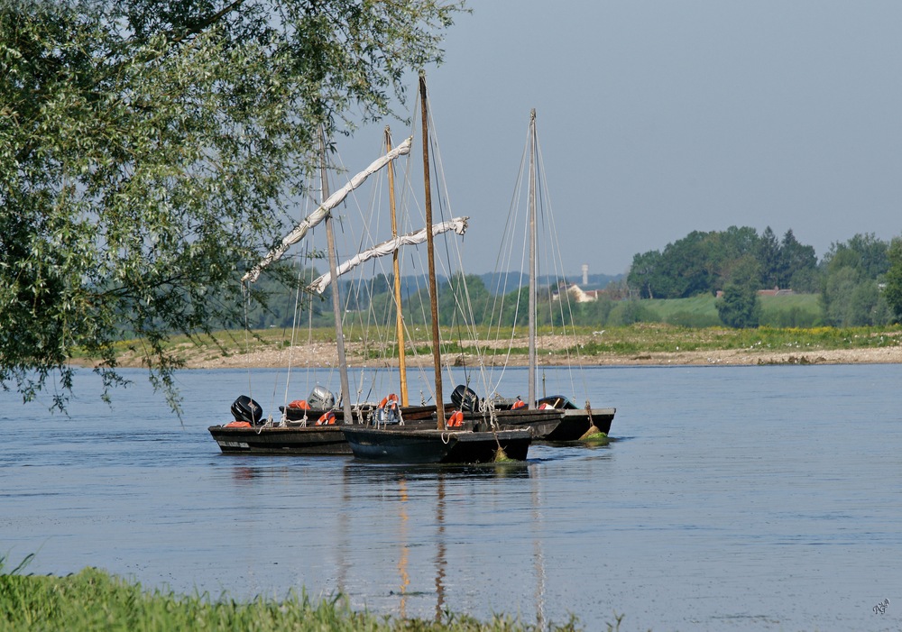 Au fil de la Loire