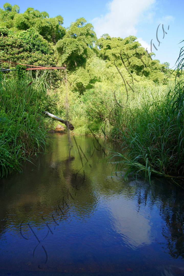 au fil de l'eau