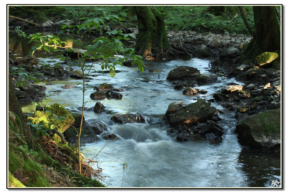 Au fil de l'eau