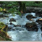 Au fil de l'eau