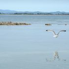 Au fil de l'eau...