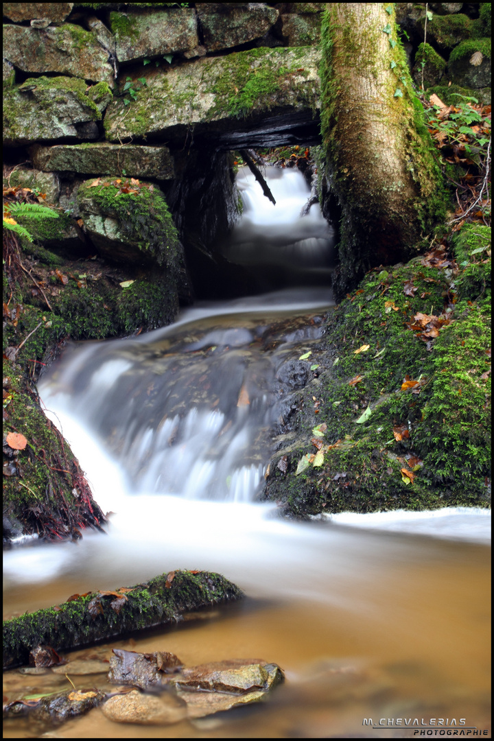 Au fil de l'eau