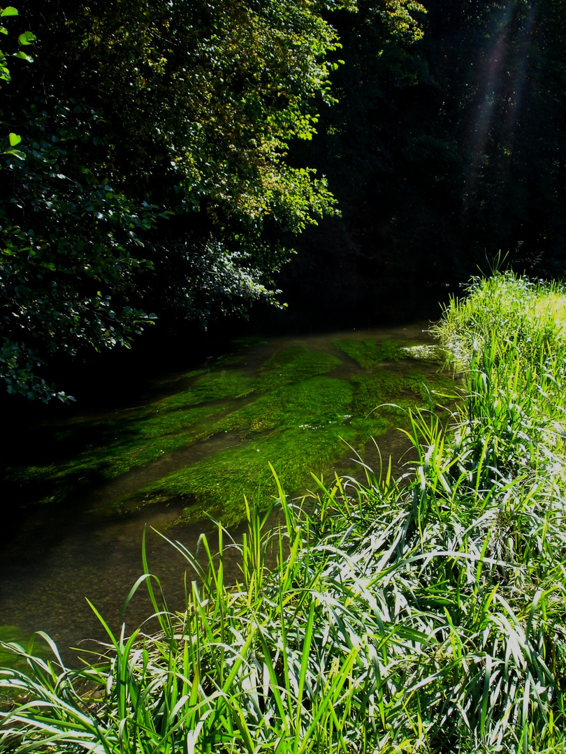 au fil de l'eau