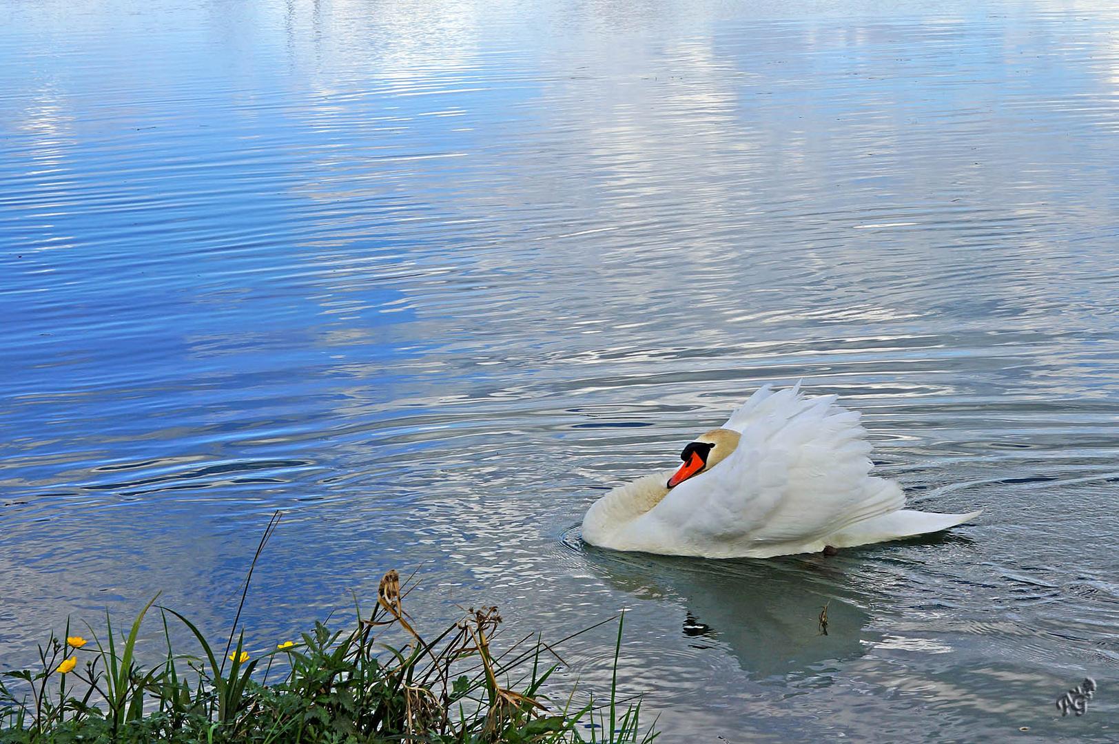 Au fil de l'eau ....