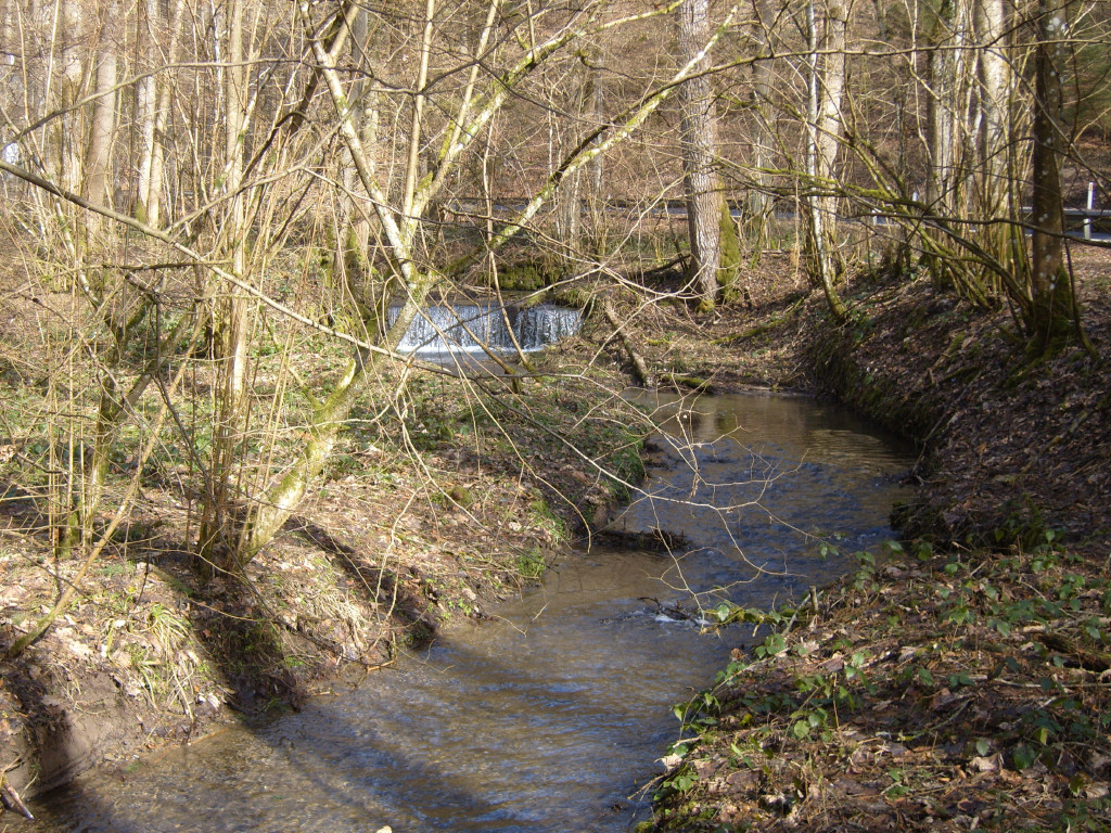 Au fil de l'eau