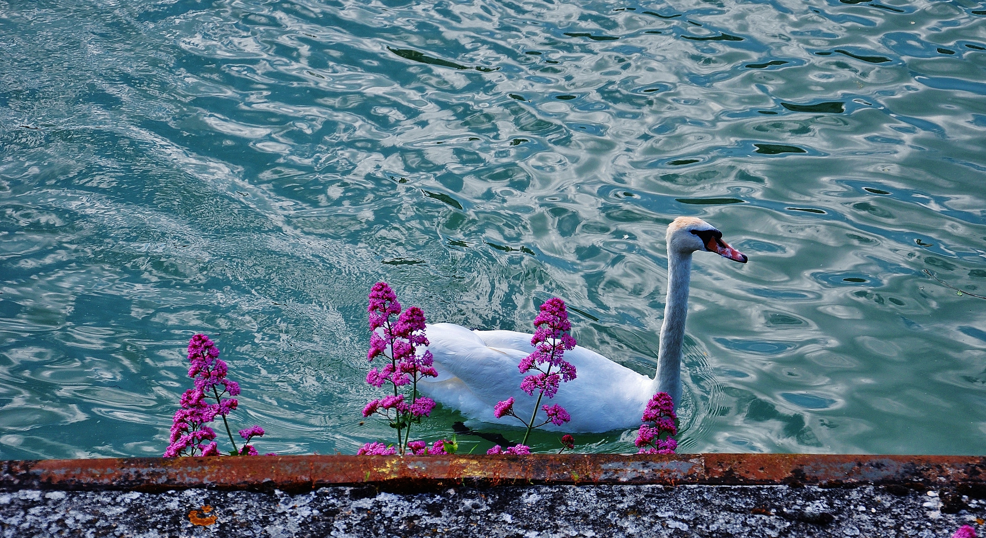 Au fil de l'eau.