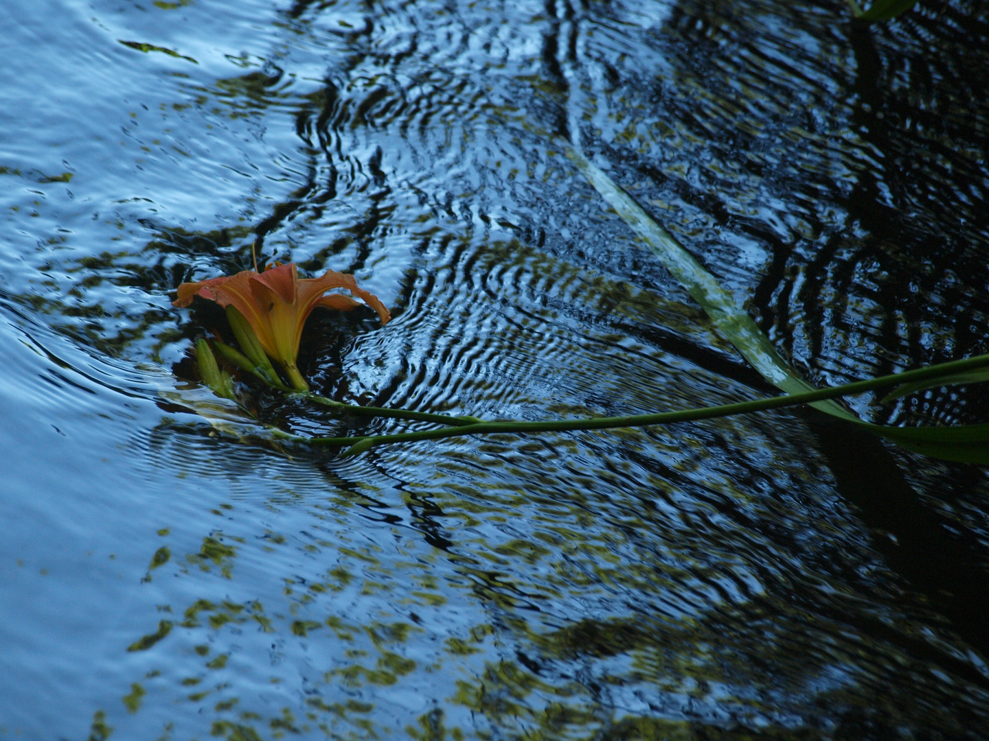 au fil de l'eau