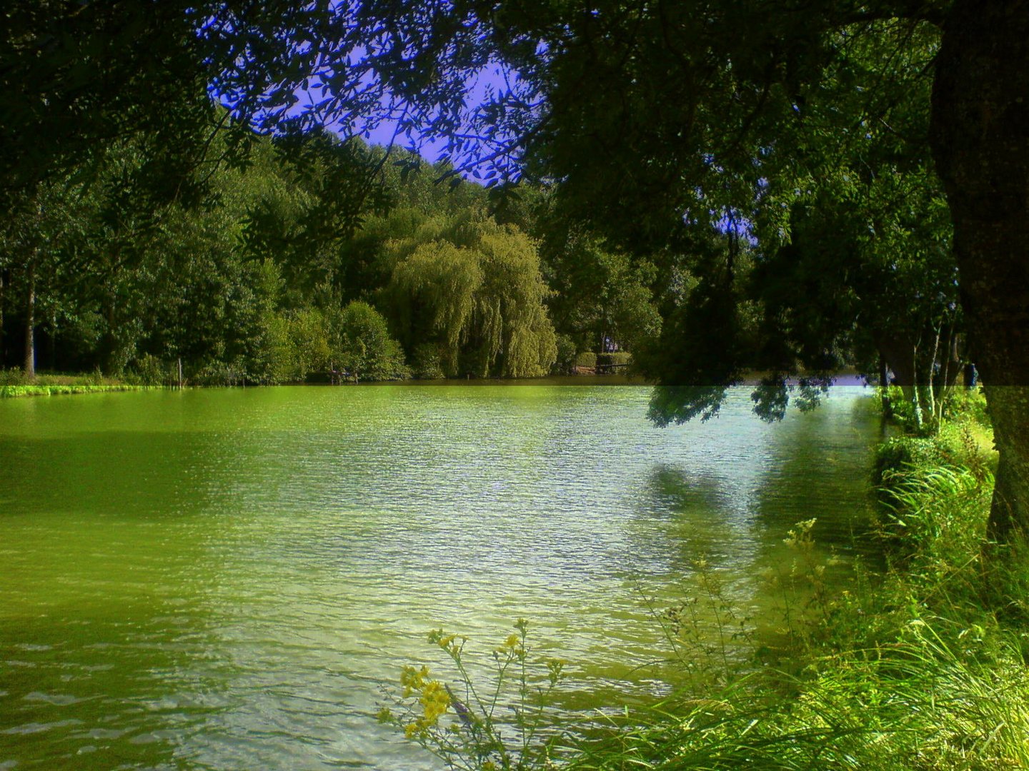 Au fil de l'eau..