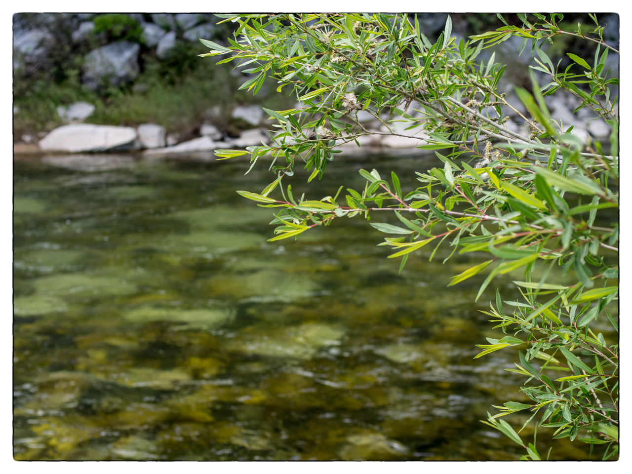 au fil de l'eau