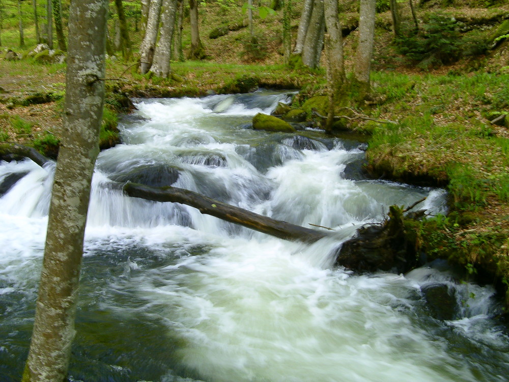 au fil de l'eau