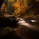 Au fil de l'eau en Foret Noire