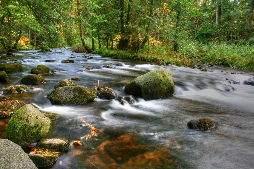 au fil de l'eau