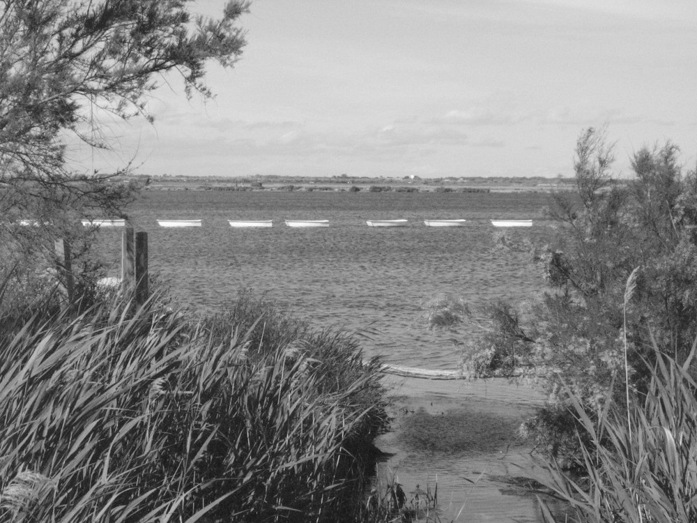 Au fil des barques.