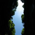 Au fond des gorges