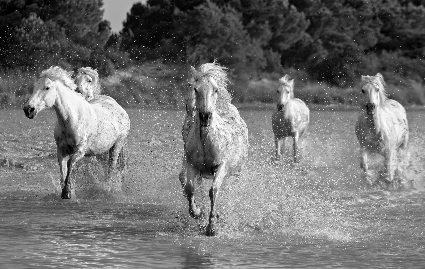 Au galop