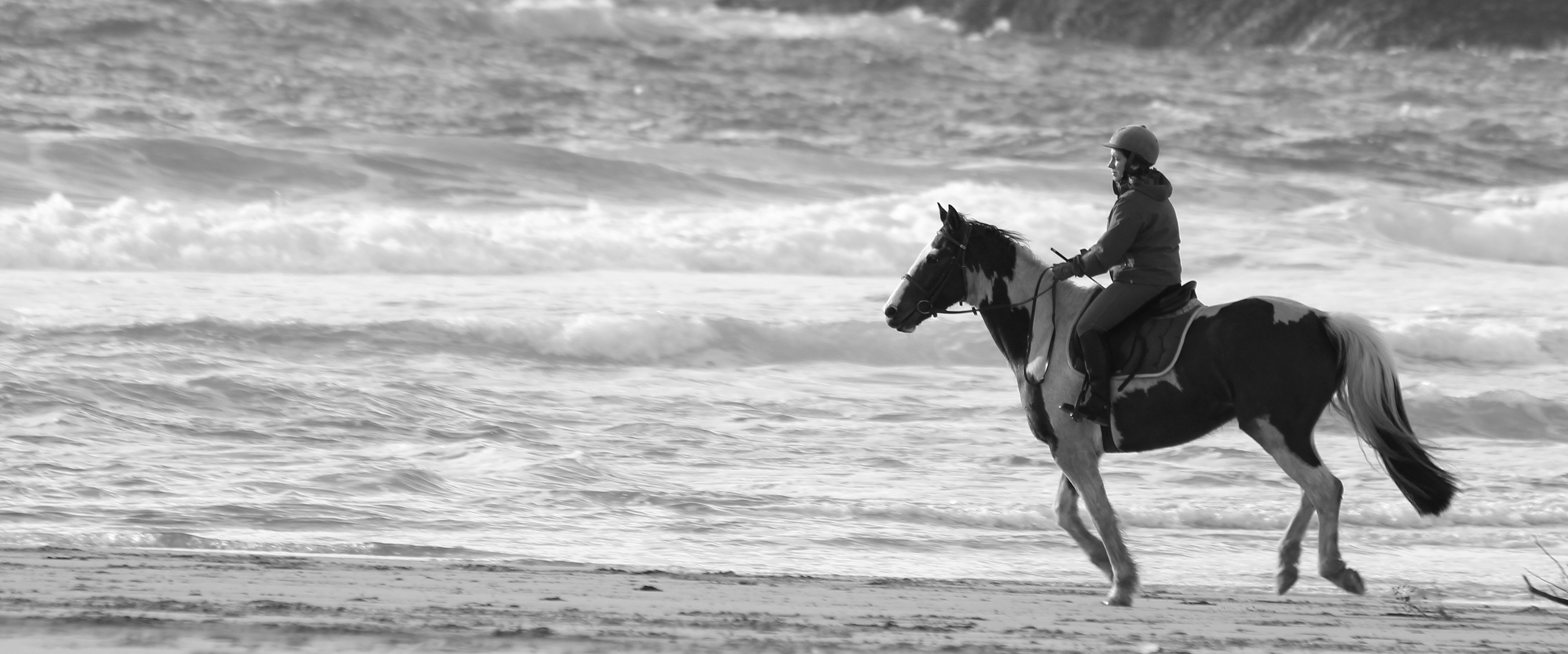 Au galop dans le sable.