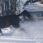 Au galop