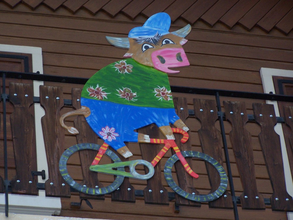 Au Grand Bornand, même les vaches font du vélo!