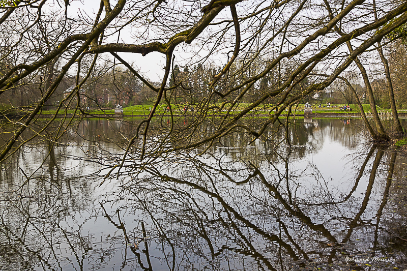 Au gré des reflets...