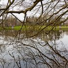 Au gré des reflets...