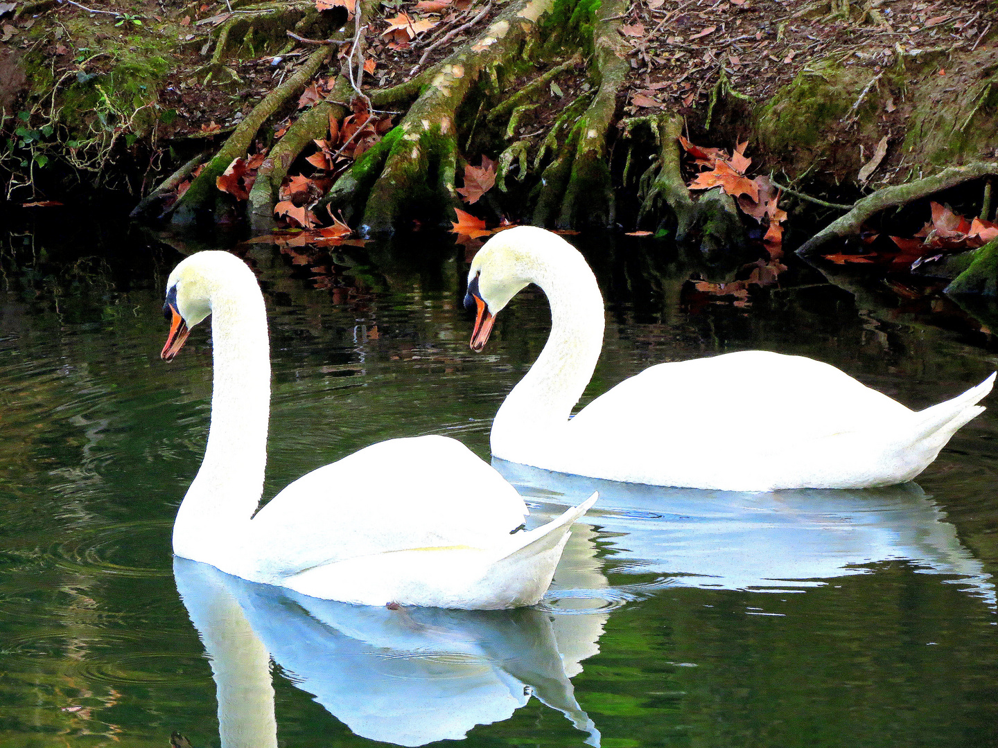 au gres de l'eau