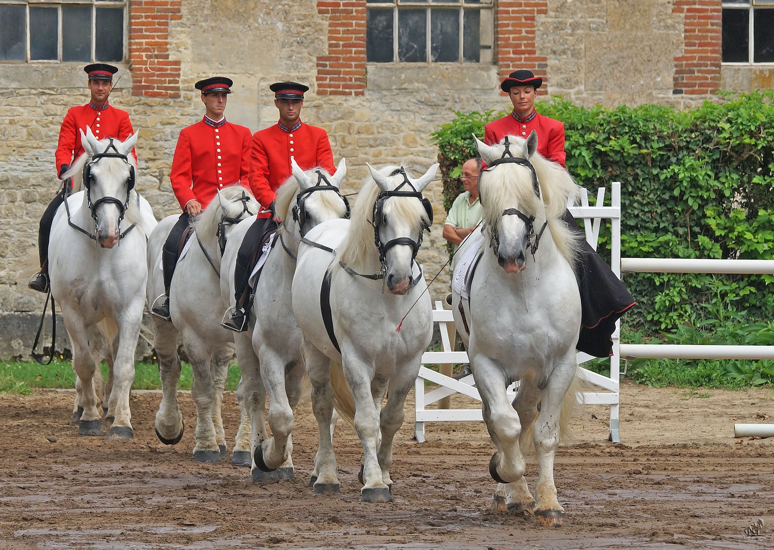 Au Haras du Pin ...