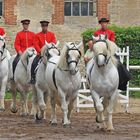 Au Haras du Pin ...