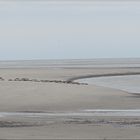 ..Au Hourdel, baie de somme..