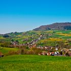 Au im April mit Blick auf den Schönberg