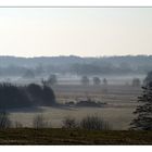 Au im Nebel